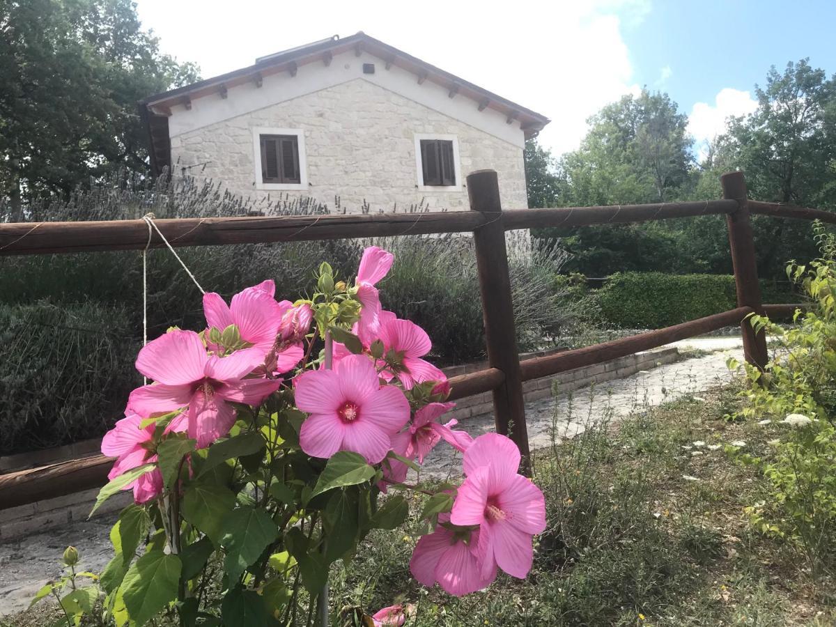 Country House Antiche Dimore Abbateggio Dış mekan fotoğraf