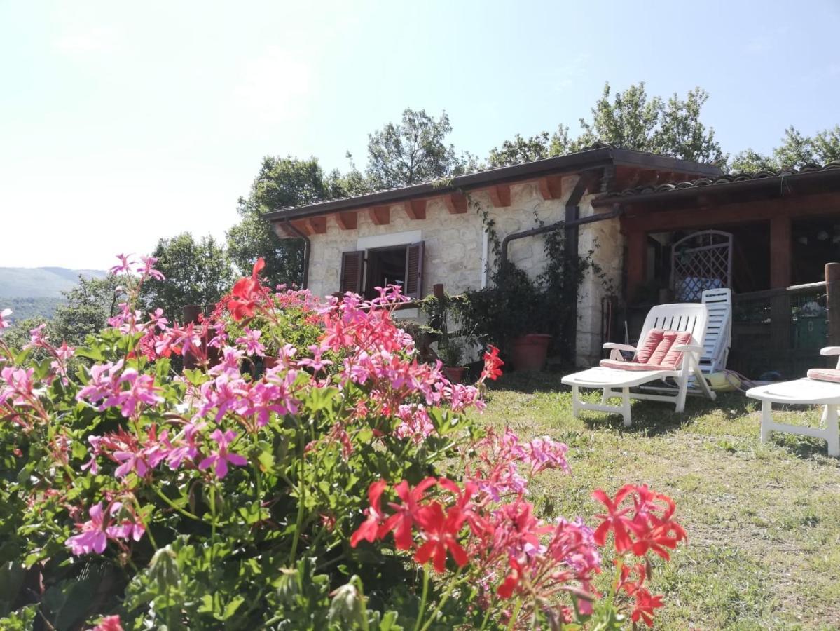 Country House Antiche Dimore Abbateggio Dış mekan fotoğraf