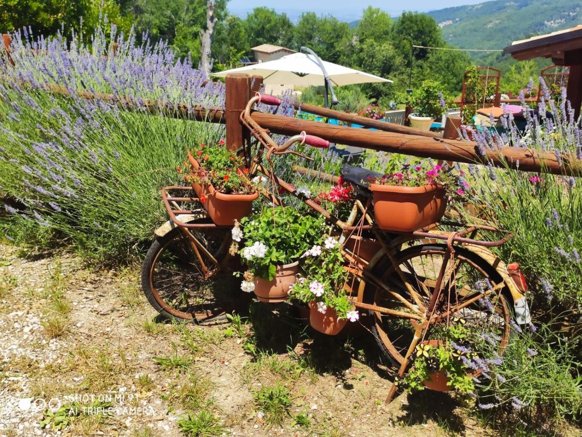 Country House Antiche Dimore Abbateggio Dış mekan fotoğraf