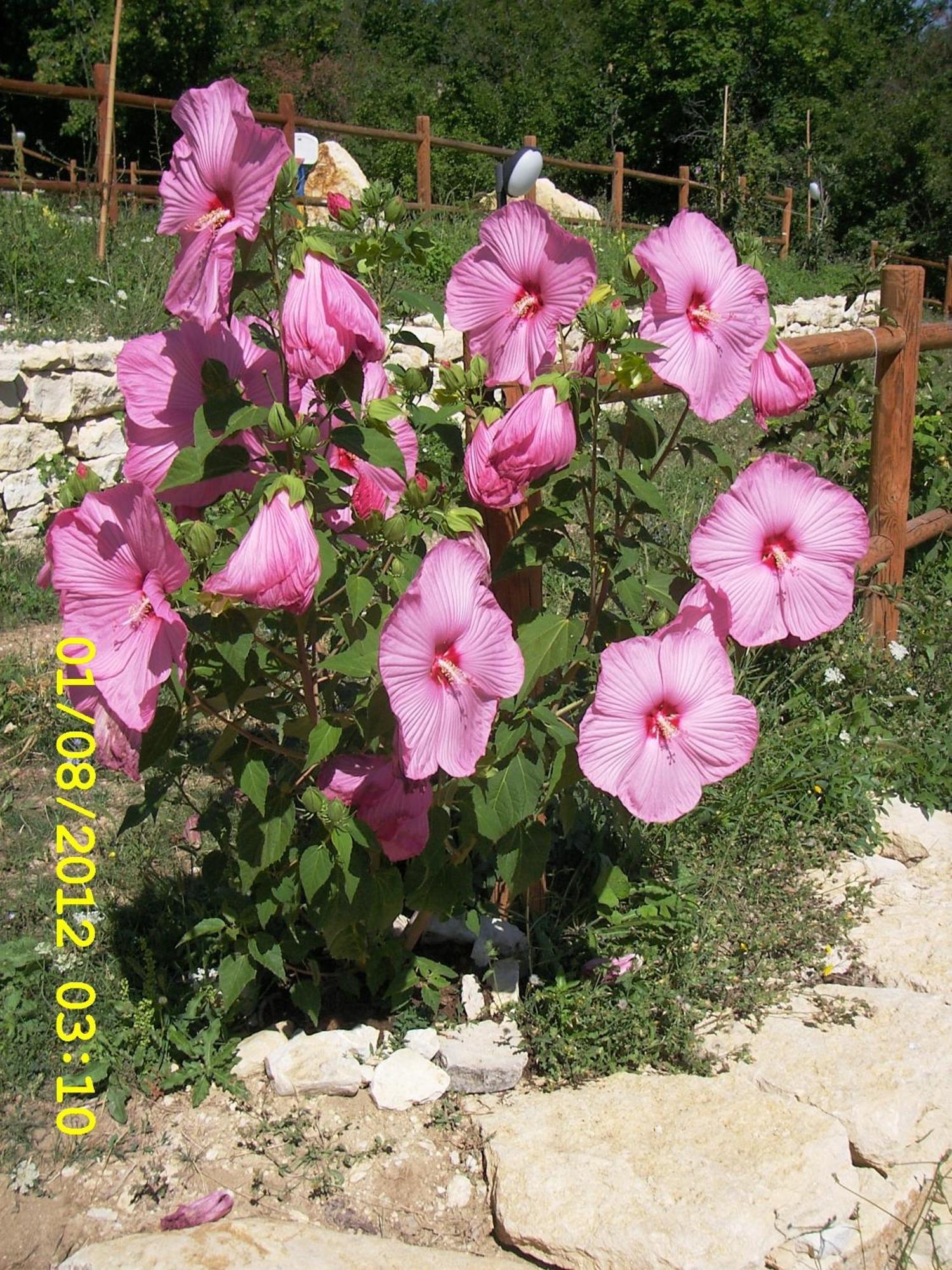 Country House Antiche Dimore Abbateggio Dış mekan fotoğraf