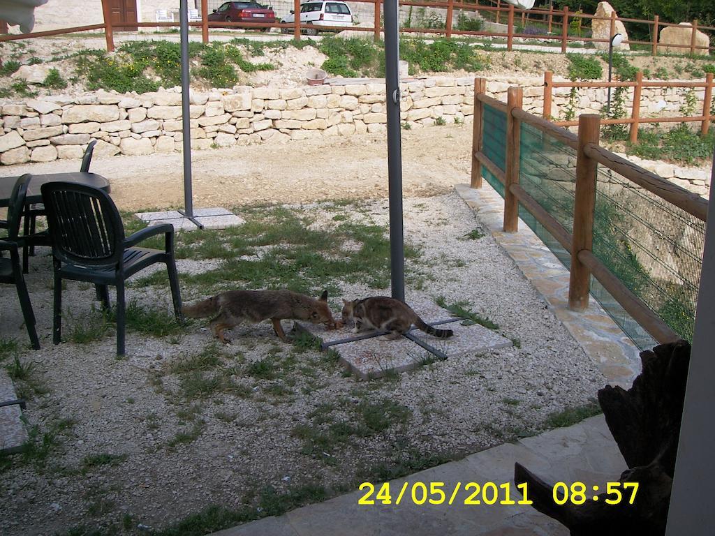 Country House Antiche Dimore Abbateggio Dış mekan fotoğraf